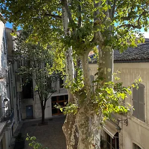 La Charmante Du Palais Des Papes Avignon